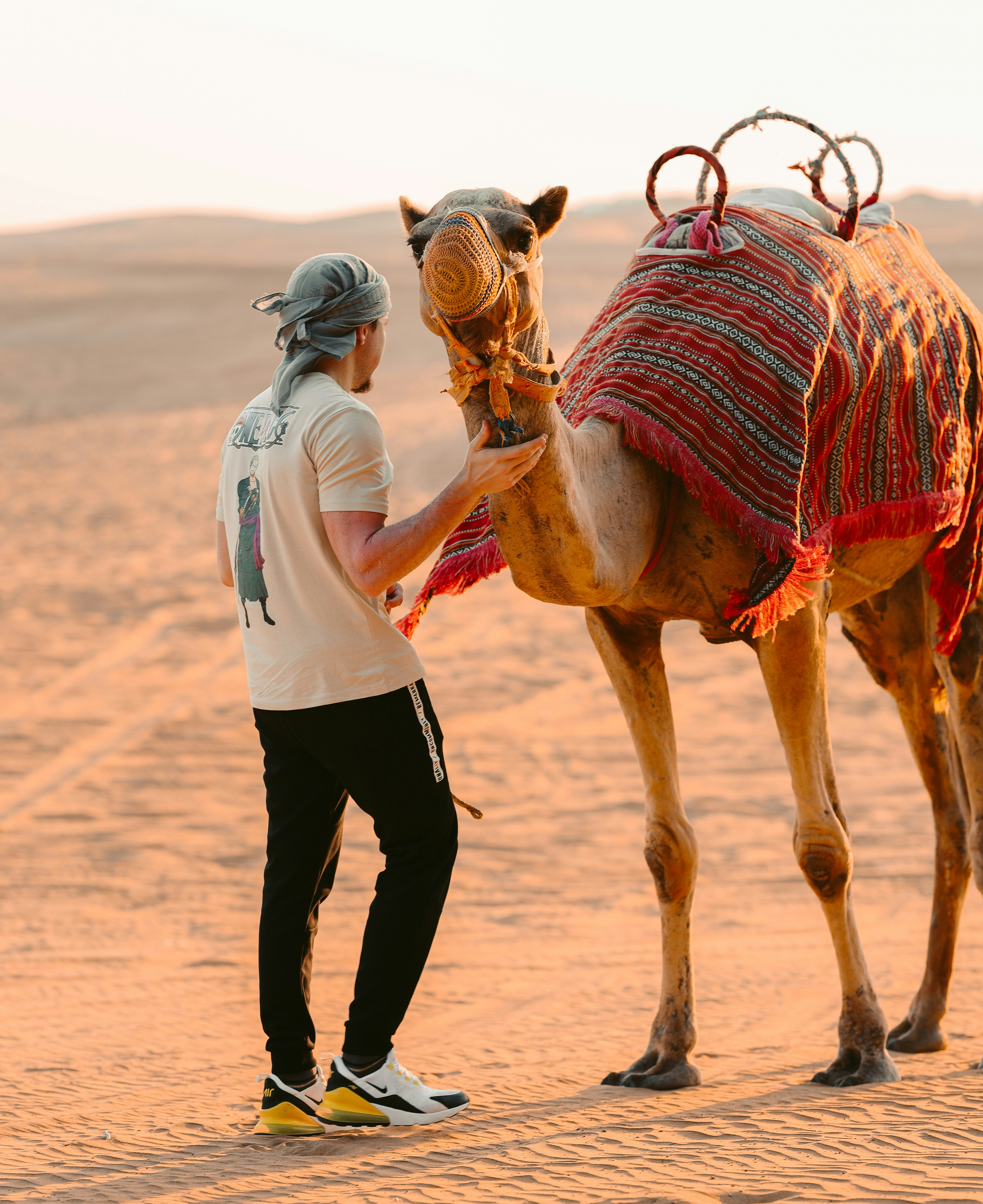 Camel Trekking Dubai