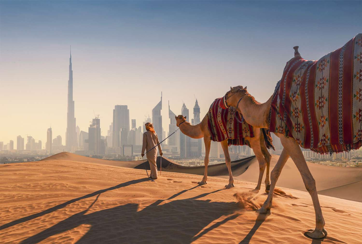 Dubai city Tour + Evening Desert Safari