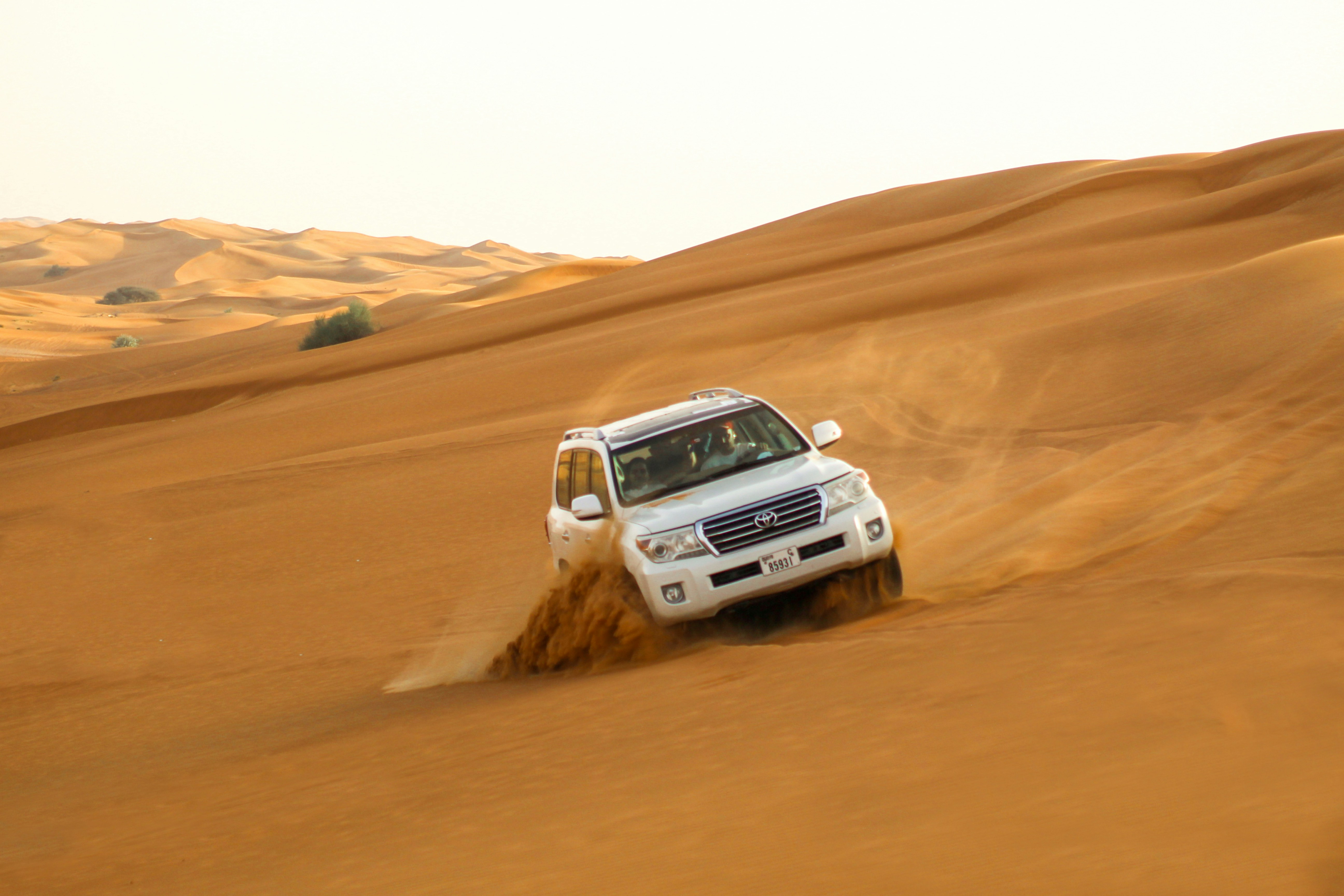 Morning Desert Safari