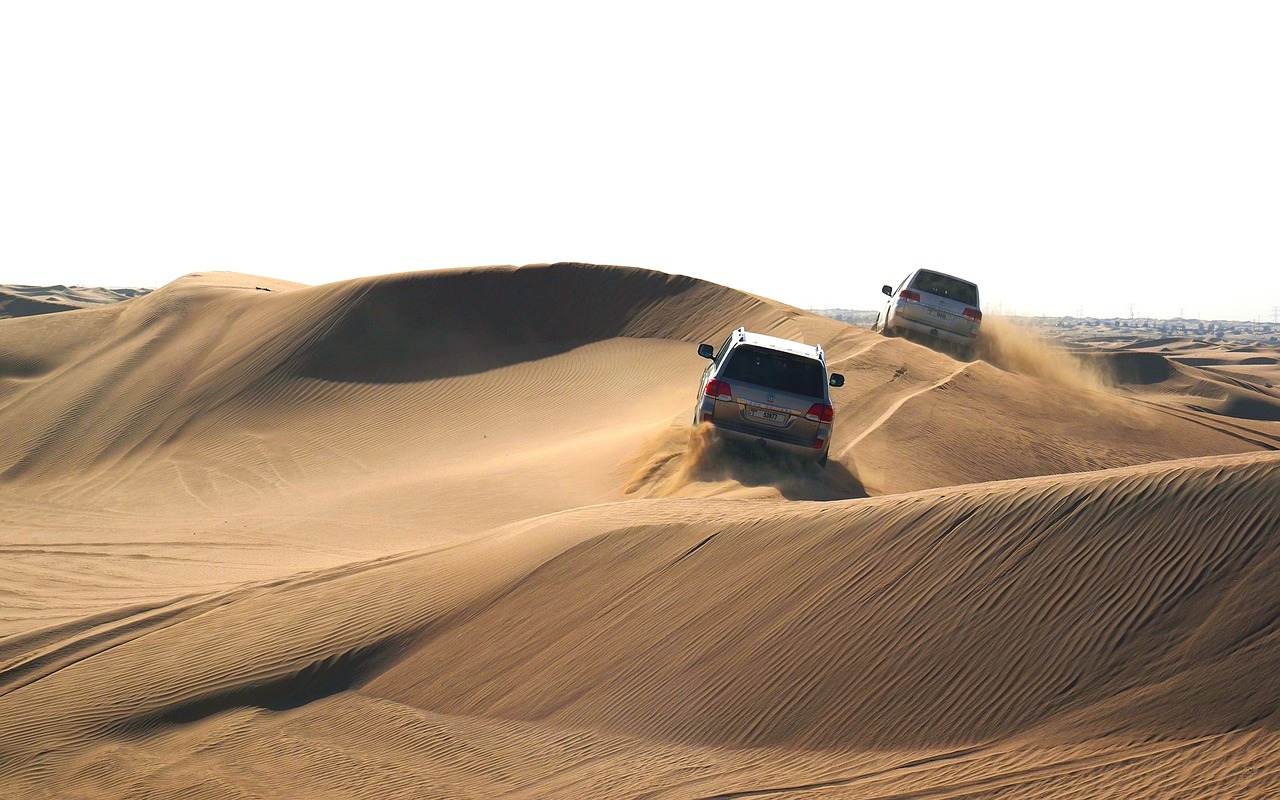 Evening Desert Safari