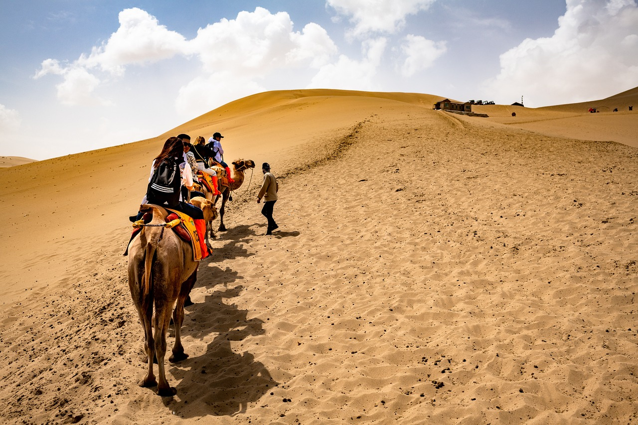 Camel Trekking Dubai