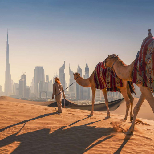 Dubai city Tour + Evening Desert Safari