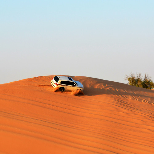 Evening Desert Safari