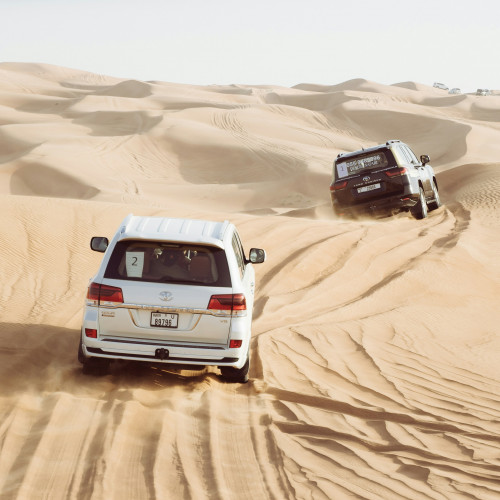 Private Abu Dhabi City Tour, Evening Desert Safari