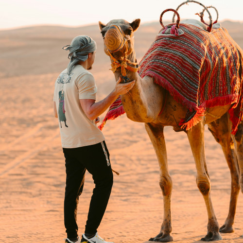 Camel Trekking Dubai