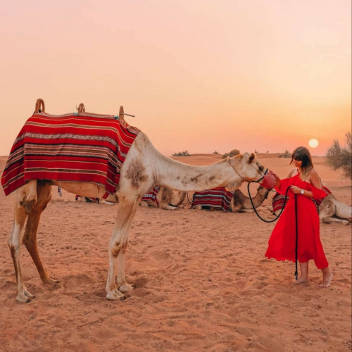 Private Desert Safari with Bab Al Shams Dinner