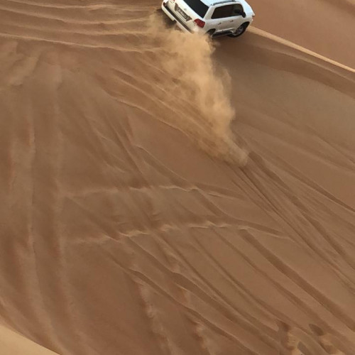 Morning Desert Safari