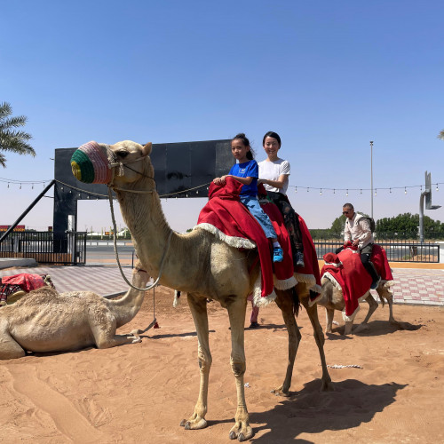 Camel Trekking Dubai