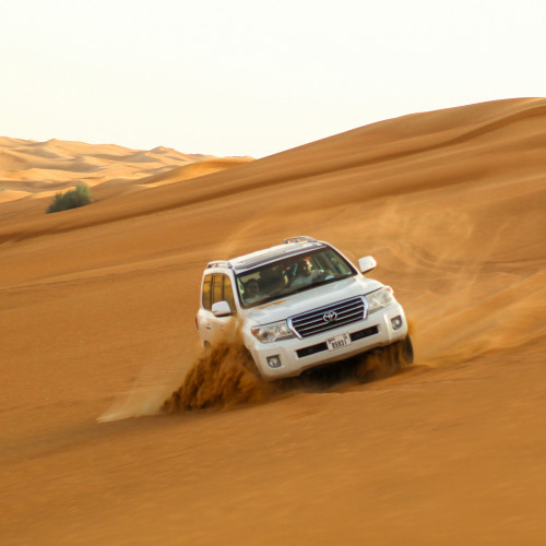 Morning Desert Safari