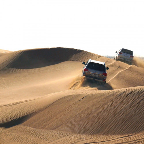 Evening Desert Safari