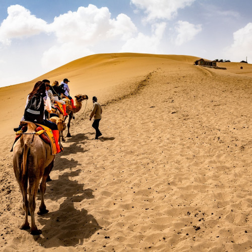 Camel Trekking Dubai