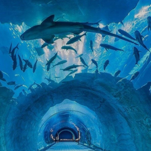 Dubai Aquarium and Underwater Zoo